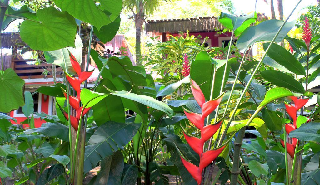 Pousada Calypso Trancoso Buitenkant foto
